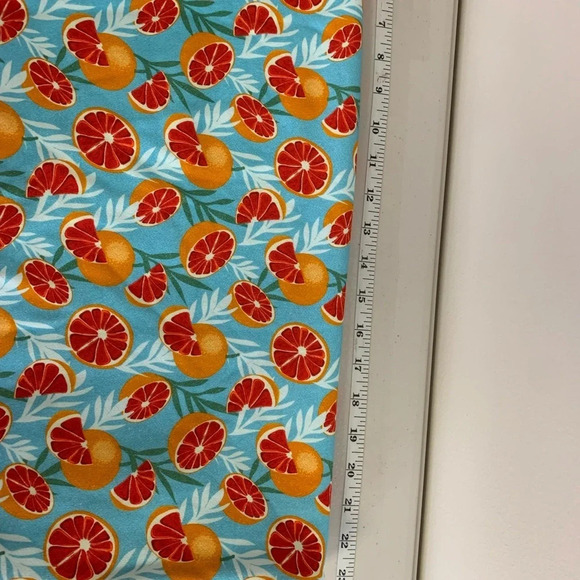 New Little Victory X Hailey Elsaesser Grapefruit Print Crewneck Size Medium - Picture 10 of 11